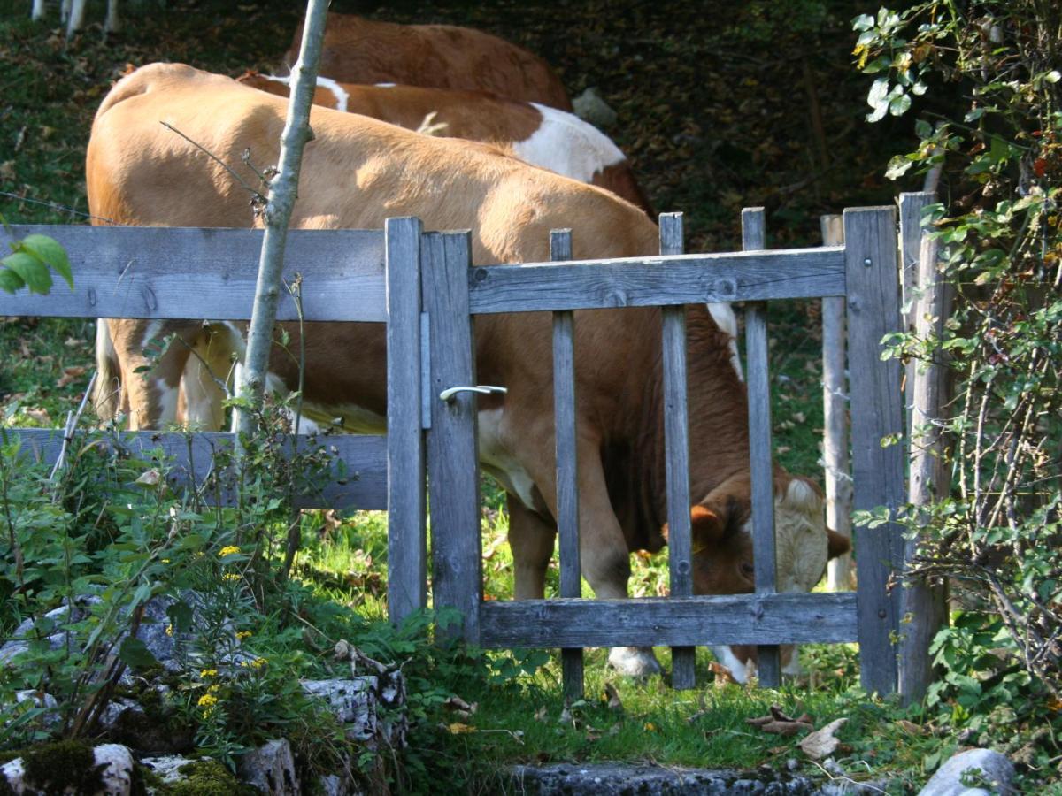 Ferienwohnungen Haus Waldwinkel Aschau im Chiemgau Exterior foto